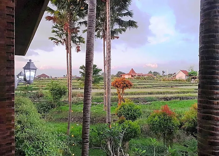 North Wing Canggu